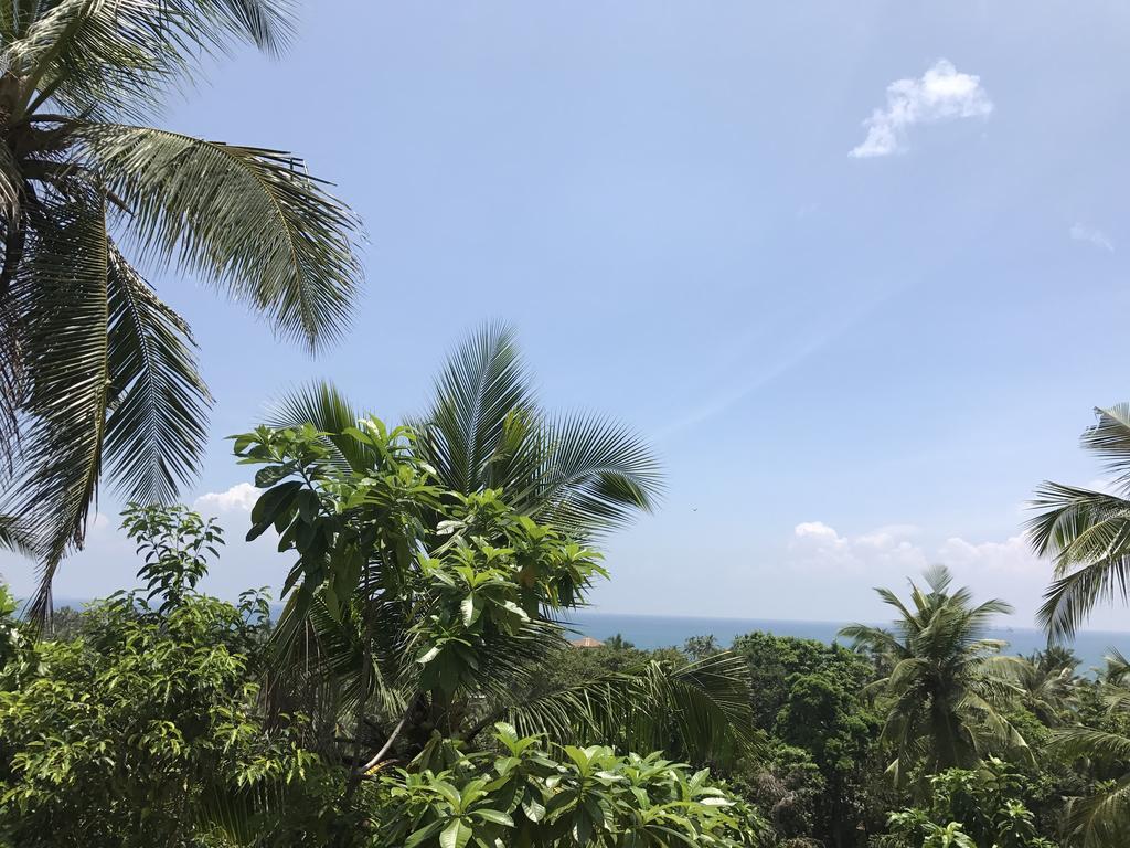 Lanka Eco Village 우나와투나 외부 사진