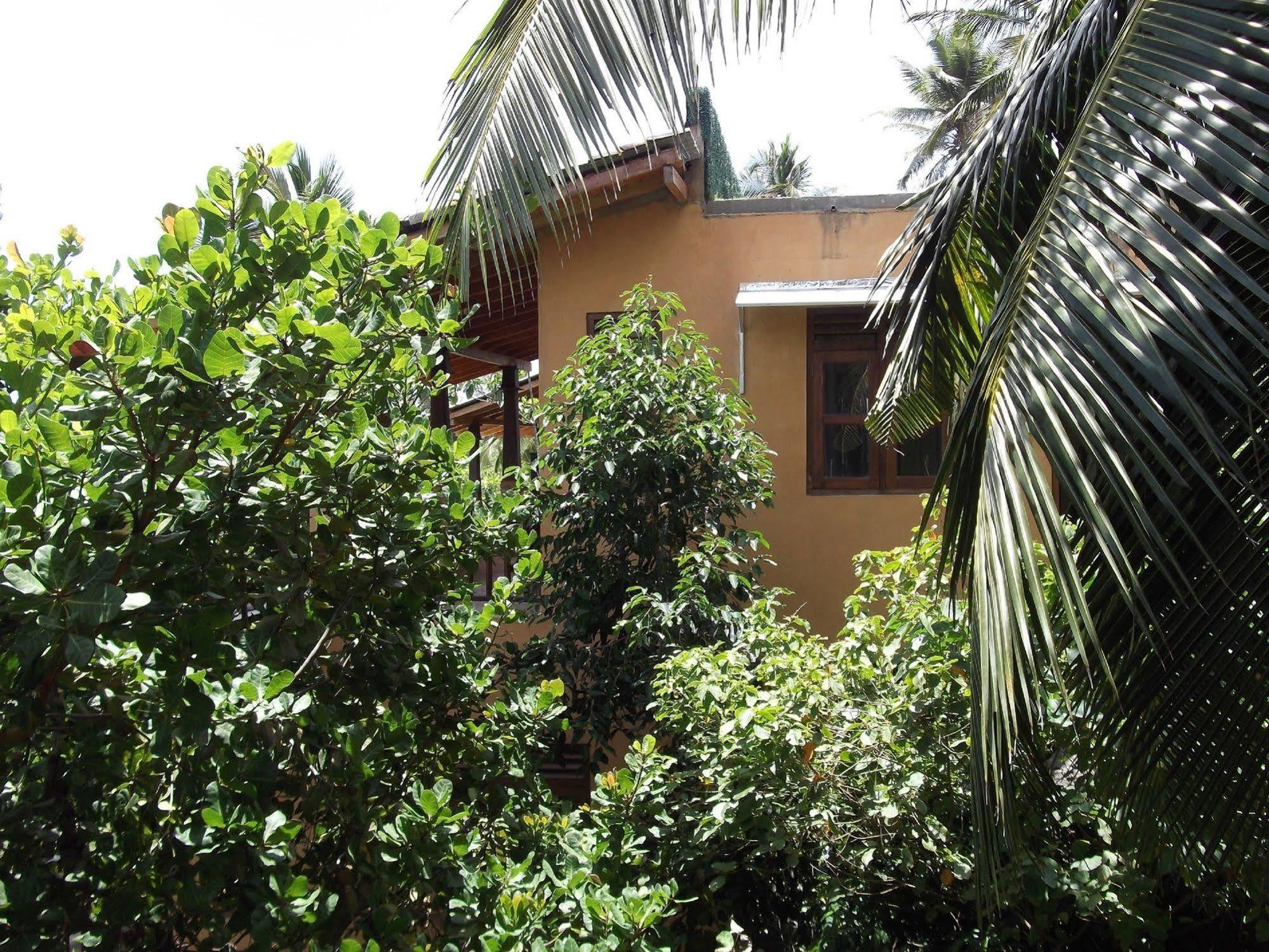 Lanka Eco Village 우나와투나 외부 사진